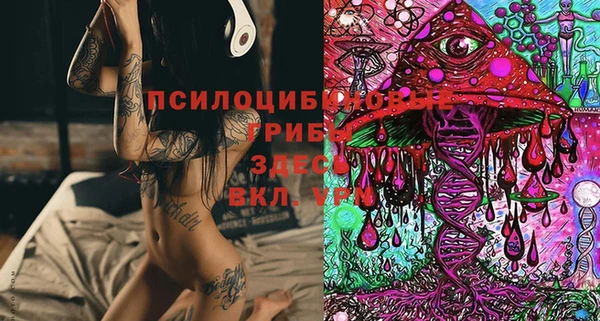 твердый Алзамай