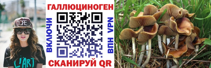 Псилоцибиновые грибы Psilocybine cubensis  mega ссылки  Иланский 